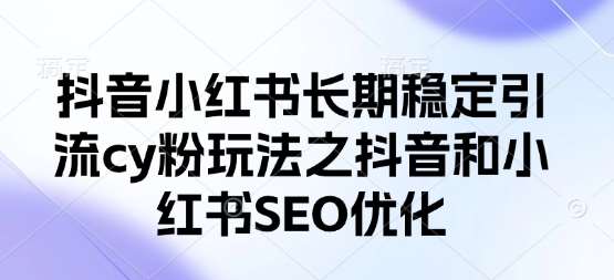 抖音小红书长期稳定引流cy粉玩法之抖音和小红书SEO优化-讯领网创