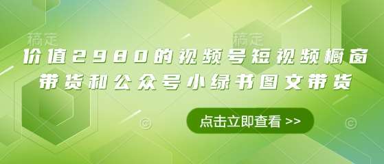 价值2980的视频号短视频橱窗带货和公众号小绿书图文带货-讯领网创
