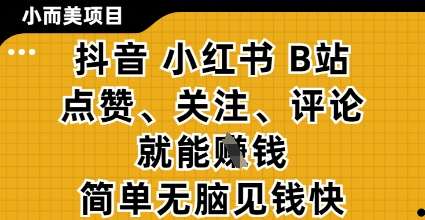 小而美的项目，抖音小红书B站视频点赞、关注、评论就能挣钱，简单无脑立见收益，妥妥的零撸项目【揭秘】-讯领网创