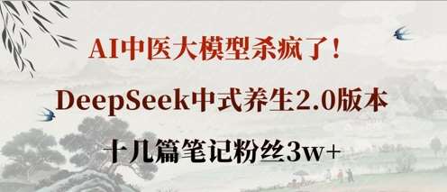 AI中医大模型杀疯了！DeepSeek中式养生2.0版本，十几篇笔记粉丝3w+-讯领网创