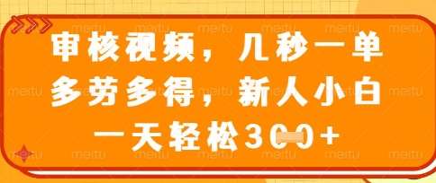 最新审核视频，几秒一单，多劳多得，新人小白一天轻松3张【揭秘】-讯领网创