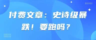 付费文章：史诗级暴跌！要跑吗？-讯领网创