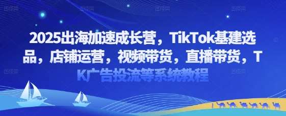 2025出海加速成长营，TikTok基建选品，店铺运营，视频带货，直播带货，TK广告投流等系统教程-讯领网创