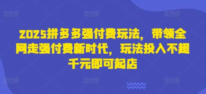 2025拼多多强付费玩法，带领全网走强付费新时代，玩法投入不超千元即可起店-讯领网创