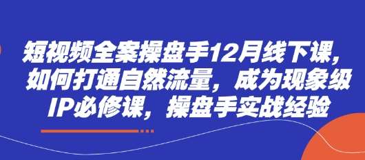 短视频全案操盘手12月线下课，如何打通自然流量，成为现象级IP必修课，操盘手实战经验-讯领网创