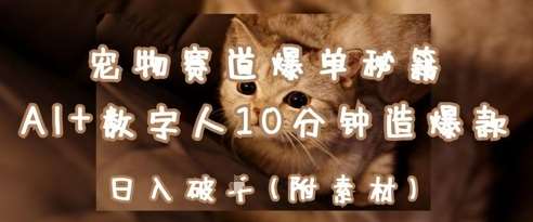 宠物赛道爆单秘籍：AI+数字人10分钟造爆款，日入1k-讯领网创