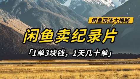闲鱼卖纪录片1单3块钱，1天几十单，项目稳定有潜力-讯领网创