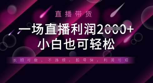 半无人直播带货，一场利润数张，适合所有平台玩法，小白也可轻松-讯领网创