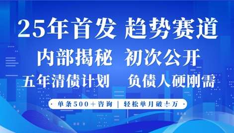 2025年首次公开，真正的事业型赛道，客咨不断，单月轻松破W-讯领网创
