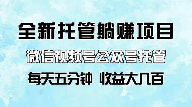 （14425期）全新托管躺赚项目，微信视频号公众号托管代运营，每天五分钟，收益大几百-讯领网创