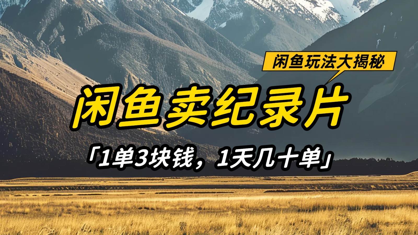 闲鱼卖纪录片，简单又赚钱的小项目，1单3块钱  1天几十单-讯领网创