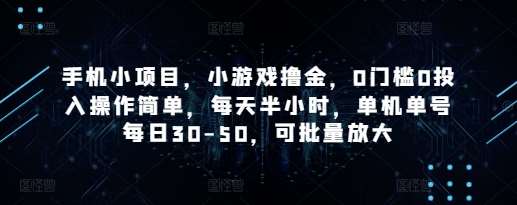 手机小项目，小游戏撸金，0门槛0投入操作简单，每天半小时，单机单号每日30-50，可批量放大-讯领网创