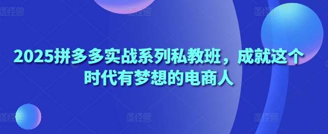2025拼多多实战系列私教班，成就这个时代有梦想的电商人-讯领网创