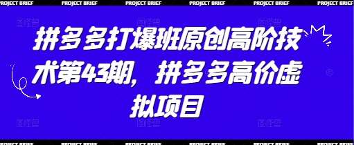 拼多多打爆班原创高阶技术第43期，拼多多高价虚拟项目-讯领网创