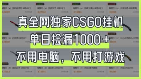 真全网独家CSGO挂G，单日捡漏1k+【揭秘】-讯领网创