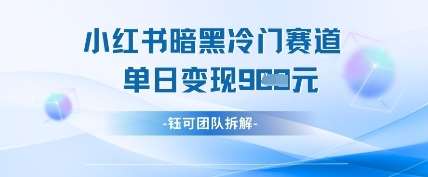 小红书冷门”暗黑”赛道，单日收益多张-讯领网创