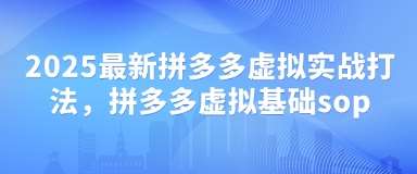 2025最新拼多多虚拟实战打法，拼多多虚拟基础sop-讯领网创