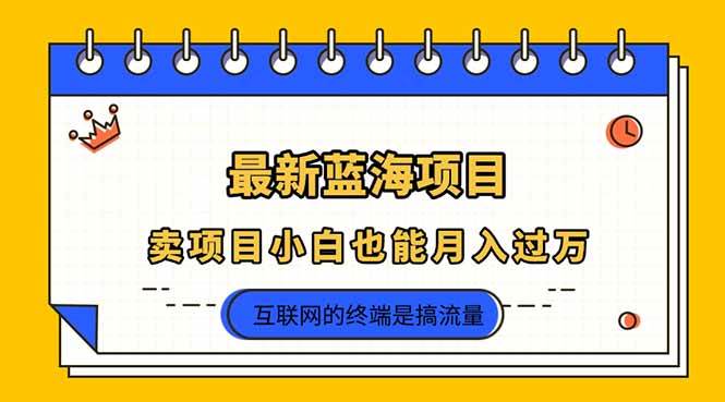 （14289期）2025年最新蓝海项目，卖项目小白也能月入过万-讯领网创