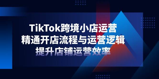 （14369期）TikTok跨境小店运营，精通开店流程与运营逻辑，提升店铺运营效率-讯领网创