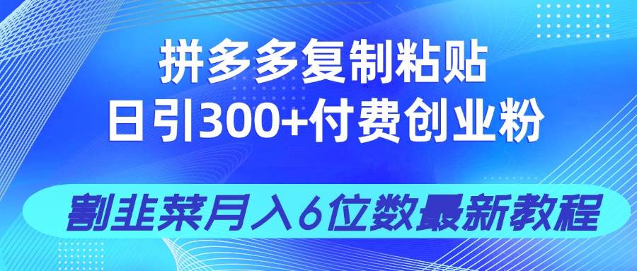 （14232期）拼多多复制粘贴日引300+付费创业粉，割韭菜月入6位数最新教程！-讯领网创