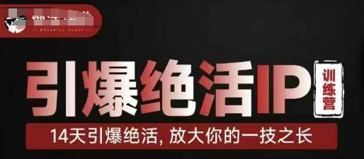 引爆绝活IP训练营，14天引爆绝活，放大你的一技之长-讯领网创