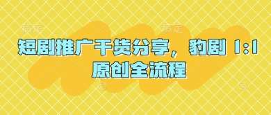 短剧推广干货分享，豹剧 1:1原创全流程-讯领网创