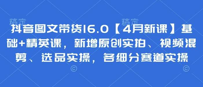 抖音图文带货16.0【4月新课】基础+精英课，新增原创实拍、视频混剪、选品实操，各细分赛道实操-讯领网创