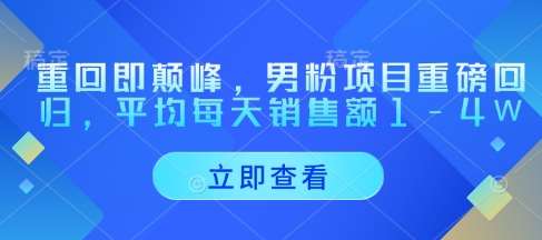重回即颠峰，男粉项目重磅回归，平均每天销售额1-4W-讯领网创