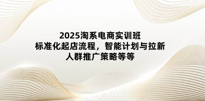 （14522期）2025淘系电商实训班：标准化起店流程，智能计划与拉新，人群推广策略等等-讯领网创