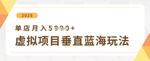 虚拟项目垂直玩法，实现单店月入5k+-讯领网创