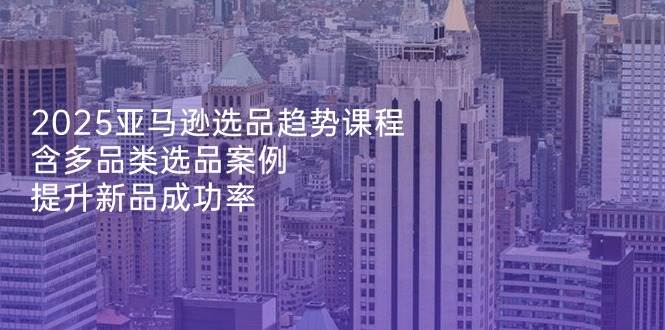 （14434期）2025亚马逊选品趋势课程，含多品类选品案例，提升新品成功率-讯领网创