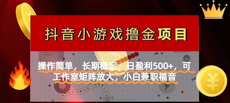 （14290期）【抖音小游戏发行人计划项目】操作简单，长期稳定，日盈利500+，可工作…-讯领网创
