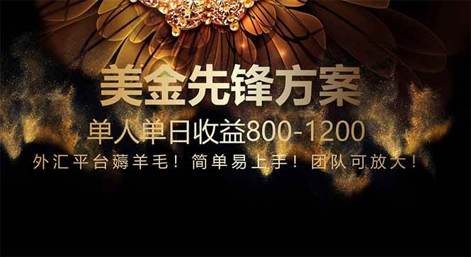 （14761期）免费技术！小众赛道！一年布局抵三年努力，每日800+-讯领网创