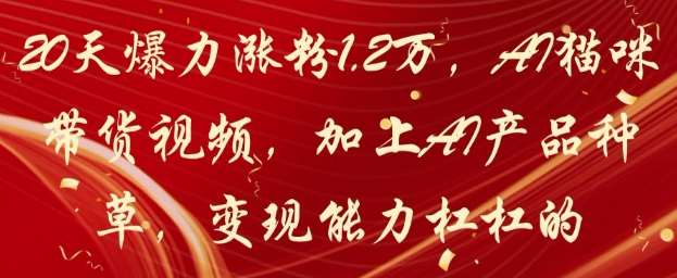 20天爆力涨粉1.2W，AI猫咪带货视频，加上AI产品种草，变现能力杠杠的-讯领网创