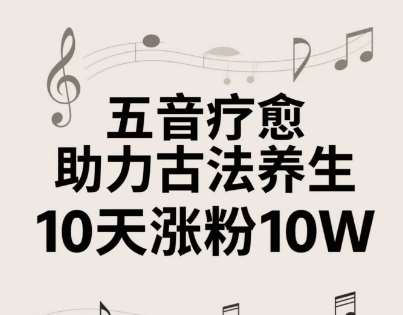 古法五音养生教程，五音疗愈的视频的制作方法，2-4小时就能学会，作者10天涨粉10W-讯领网创