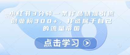 小红书3分钟一条作品精准引流创业粉300+，打造属于自己的流量帝国-讯领网创
