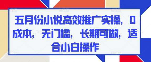 五月份小说高效推广实操，0成本，无门槛，长期可做，适合小白操作-讯领网创