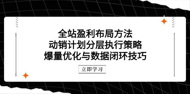 （14698期）全站盈利布局方法：动销计划分层执行策略，爆量优化与数据闭环技巧-讯领网创
