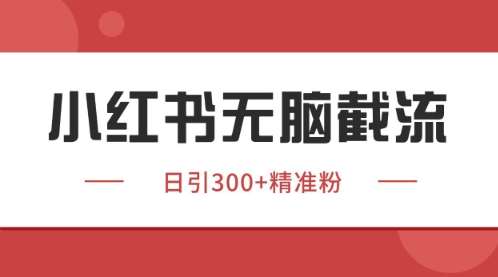小红书只要你有同行就能获客，独家野路子获客玩法，暴力截流【揭秘】-讯领网创