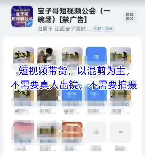 宝子哥头部团队短视频带货，以混剪为主，不需要真人出镜，不需要拍摄-讯领网创