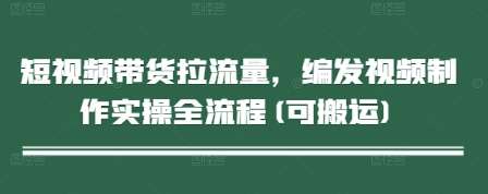 短视频带货拉流量，编发视频制作实操全流程(可搬运)-讯领网创