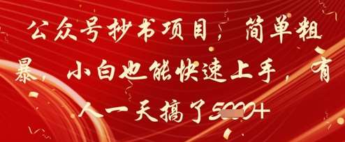 公众号抄书项目，简单粗暴，小白也能快速上手，有人一天搞了1k+-讯领网创