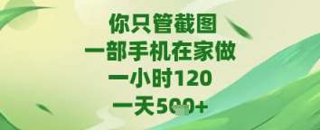 你只管截图，一部手机在家做，苹果安卓都可以，一天5张+【揭秘】-讯领网创