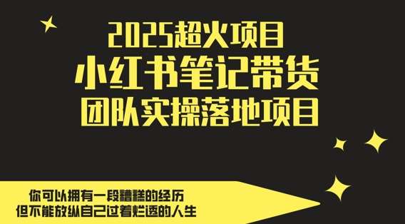 2025超火项目，副业最佳选择，小红书笔记带货团队实操落地项目，，轻松日入5张-讯领网创