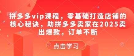 拼多多vip课程，零基础打造店铺的核心秘诀，助拼多多卖家在2025卖出爆款，订单不断-讯领网创