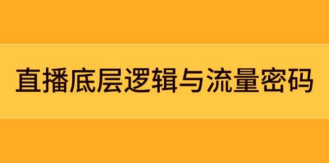 （14695期）直播底层逻辑与流量密码：定位模型+案例拆解，急速流承接与数据优化全攻略-讯领网创
