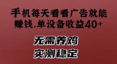 手机每天看看广告就能挣钱，单设备收益40+，无需养鸡，实测稳定【揭秘】-讯领网创