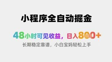 小程序全自动掘金，48小时可见收益，日入8张+长期稳定靠谱，小白宝妈轻松上手【揭秘】-讯领网创