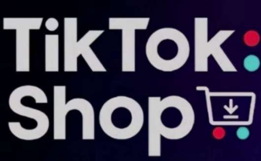 TikTokShop跨境电商0-1实战，手把手教你低成本启动海外市场（更新）-讯领网创