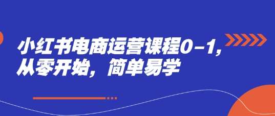 小红书电商运营课程0-1，从零开始，简单易学-讯领网创